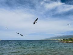 -青海湖二郎剑景区