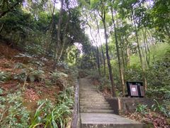 -广州市帽峰山景区