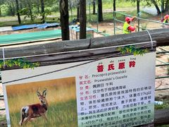-青藏高原野生动物园