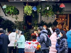 -溪岸路花鸟市场