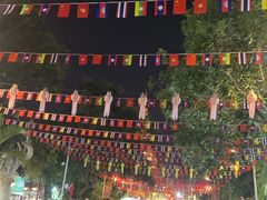 -基诺山寨.版纳民族特色菜