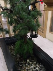 -芳朵美容养生SPA