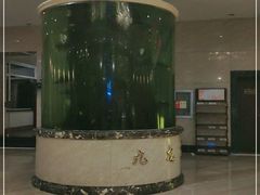 -渔公码头·九龙湾国际饭店