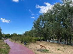 -马家湾湿地公园