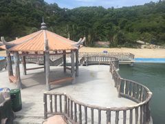 -广东惠东海龟国家级自然保护区
