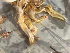 -串小白烧烤(金沙洲店)