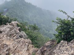 -紫金山山顶公园