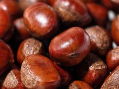 -秋栗香(地安门店)