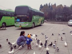 -陕西自然博物馆