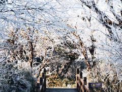 -梵净山旅游区