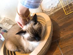 -About Bistro關於·泰式家庭料理