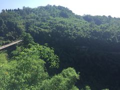 -川西竹海景区