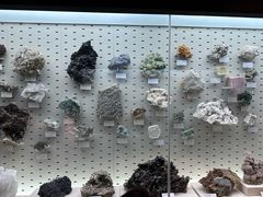 -浙江自然博物院(杭州馆)