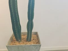 -朵朵开素食餐厅(后宰门街店)