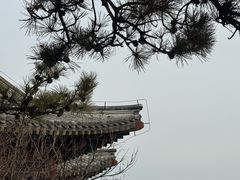 -香山公园