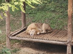 -石家庄市动物园