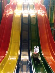 -宝燕乐园(闵行旗舰店)