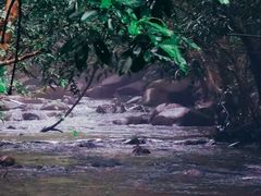 -清溪森林公园