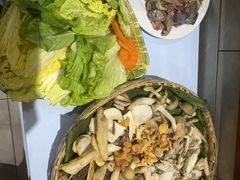 野生菌簸箕拼盘-原林野山菌火锅·炒菌(关上野生菌一条街店)