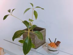 -CAFE'IN精品咖啡体验空间(小寨店)