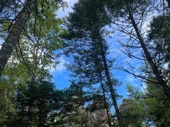 -汤旺河林海奇石景区