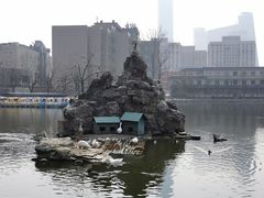-团结湖公园