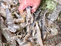 濑尿虾-南沙十九涌渔人码头-南门