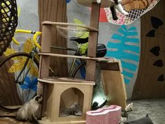 -么么咖啡(燕郊店)