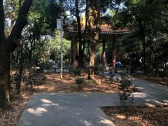 -广州市帽峰山景区