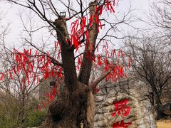 -红嫂家乡旅游区