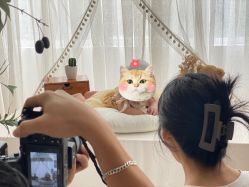 -童画王国儿童摄影(吉大店)