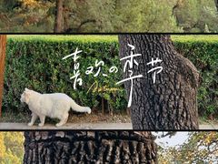 -中国铁道博物馆(正阳门馆)