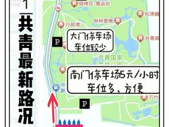 -上海共青森林公园