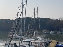 -上海美帆帆船露营基地