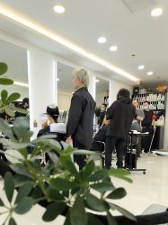 点击看大图 -HaLo hair studio