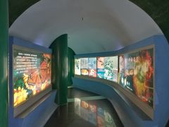 -上海昆虫博物馆