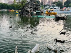 -团结湖公园