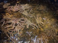 -綱元·海鲜豆捞(明州里店)