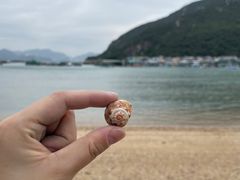 -南丫岛