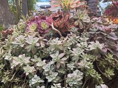 -凤来栖·净庭院·火锅(欧尚店)