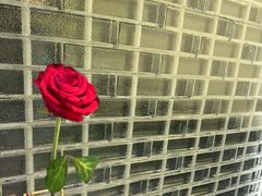 -宫燕府·京菜·烤鸭·淮扬菜(王府中心店)