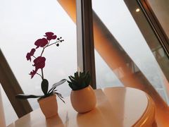 景观位-广州塔卢特斯法国旋转餐厅