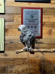 -Zoolung Zoolung动物主题公园(海信广场店)