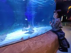 -沈阳海洋探索中心