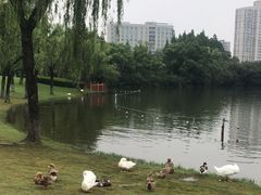 -黄兴公园