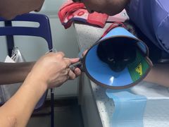 -半岛宠物医院24小时(科华中路店)