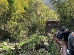 -藏龙百瀑风景区