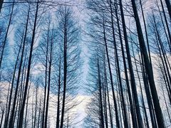 -山王坪喀斯特国家生态公园