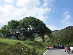 -芦芽山旅游度假区