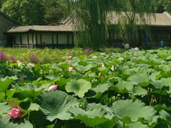 -承德避暑山庄景区